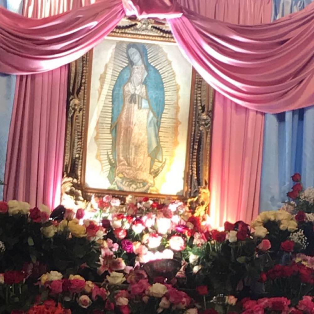 Meet your Posher, Sabina